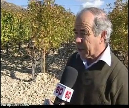 Las uvas de Nochevieja