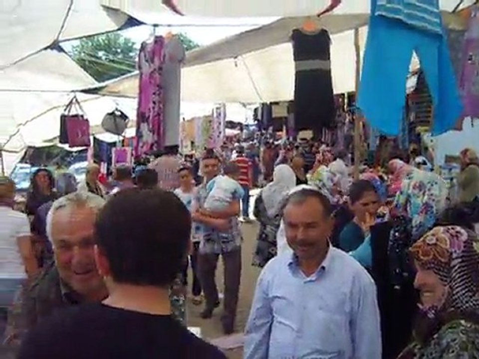 sendik.2011
