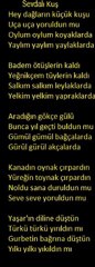 İsmail Hakkı Demircioğlu-Sevdalı Kuş(Yaşar Miraç)