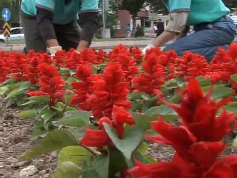 TALAS’TA CICEKLER ACTI [ TALAS KAYSERI ]