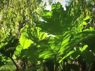 Parc zoologique - Peumerit - Finistère