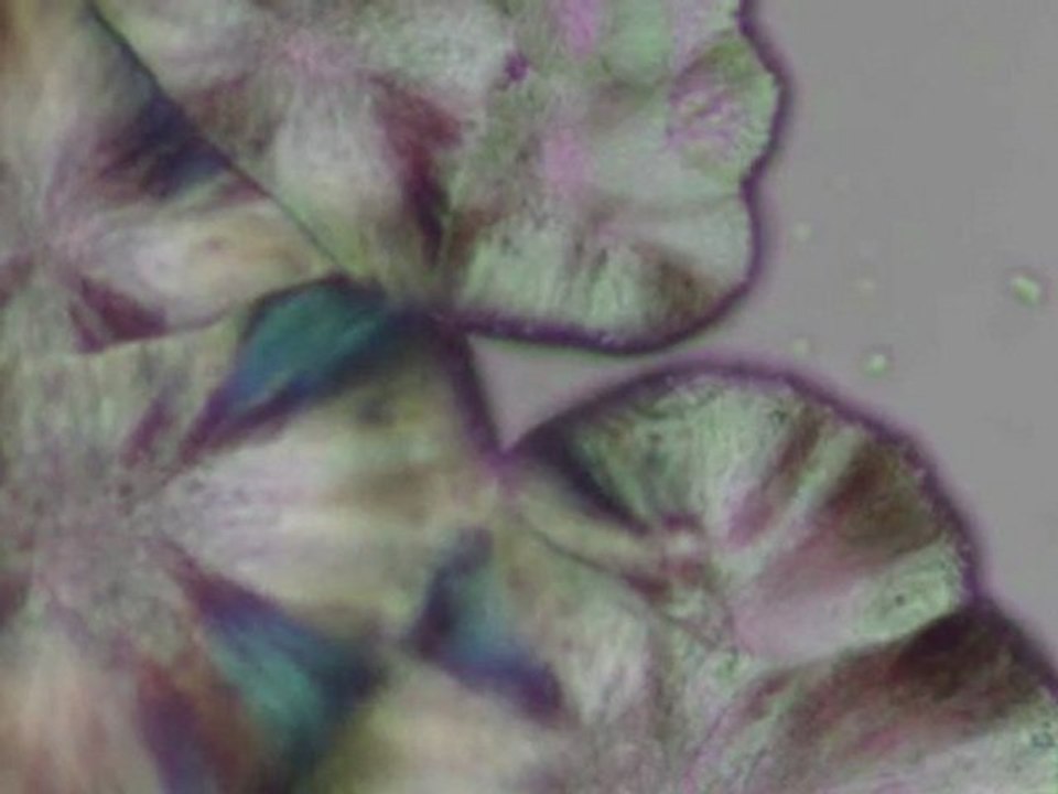 ¡Comemos cristales y no somos faquires!