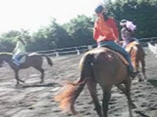 29.05.11 - caroussel du CHE 2/2