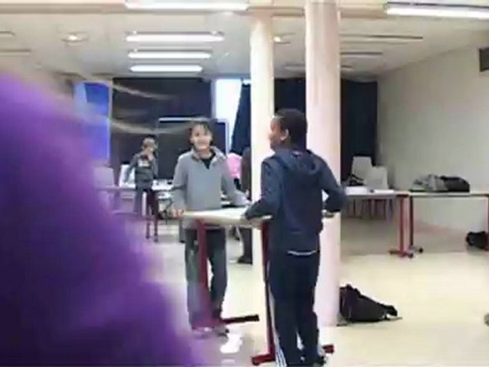 vermay l'exposition "notre environnement"