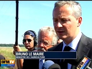 Sécheresse : priorité à l'élevage pour Le Maire