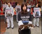 Igualdad Animal denuncia muerte de animales