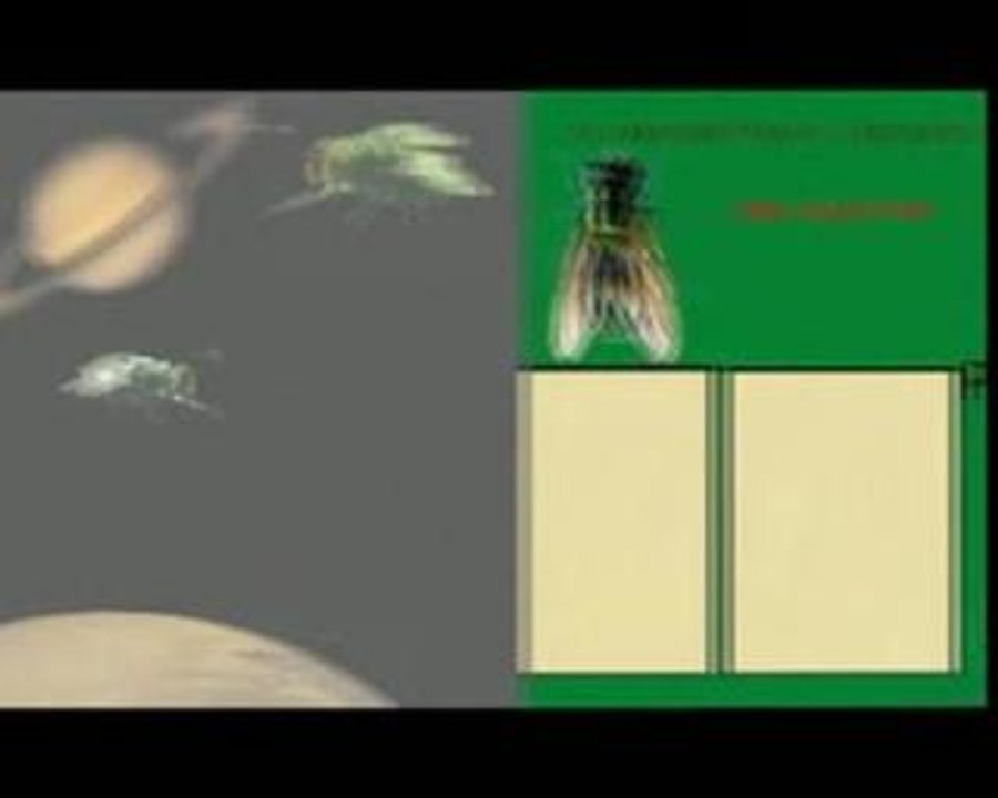 Pub Mouche a Merde de l'espace