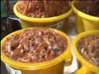 Viethamvui _Châu Đốc(00h57m24s-01h16m32s)