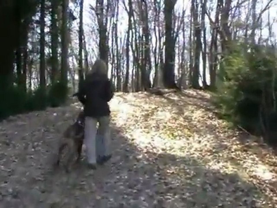 Fjällräven nikka jacket