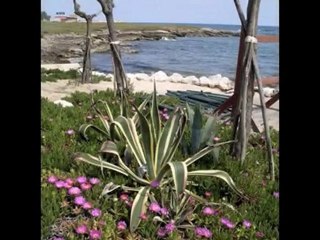 Leccenews24 Tg 30 Maggio: politica, cronaca, sport da Lecce e Salento