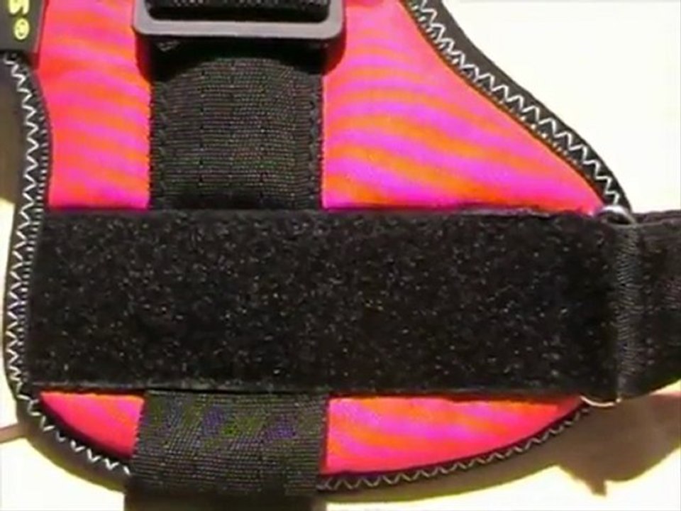 Julius K9 Powergeschirr | K9 Hundegeschirr