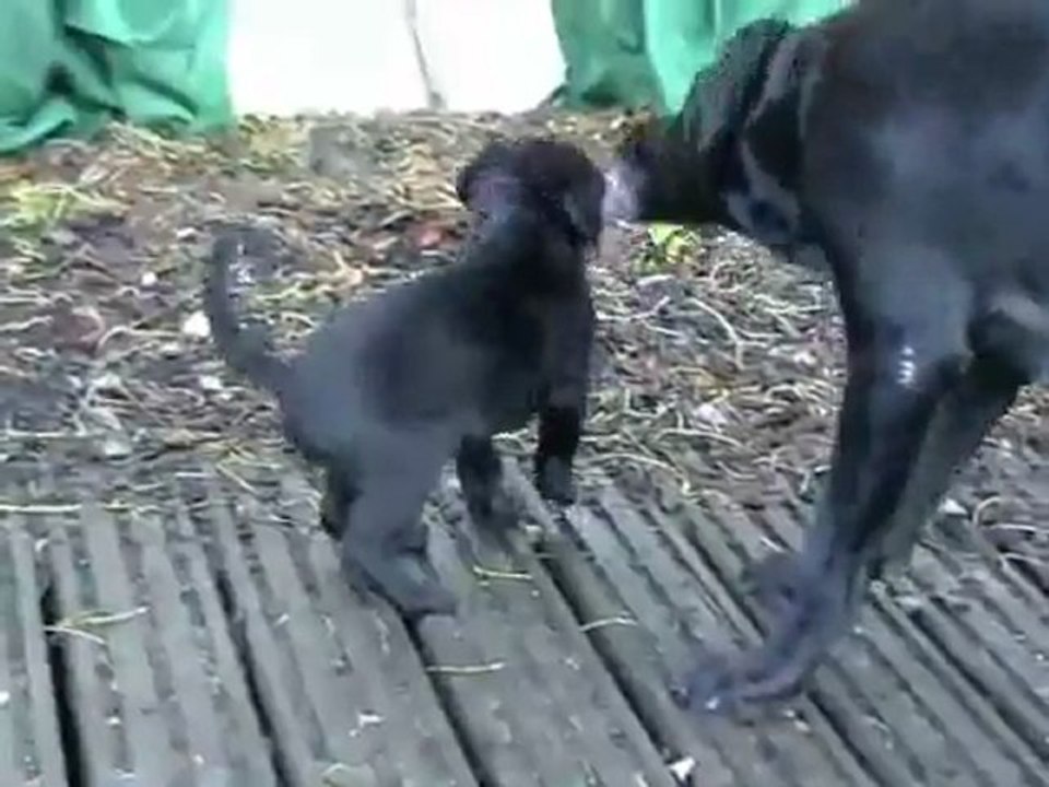 Die mobile Labi-Waschanlage