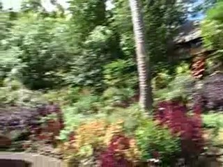 Visite de la Pension Vanira Lodge à Tahiti, Polynésie Française