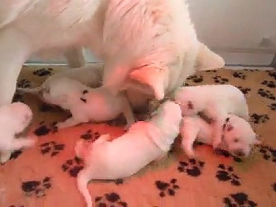 Bébés Daelynn &  Heaven