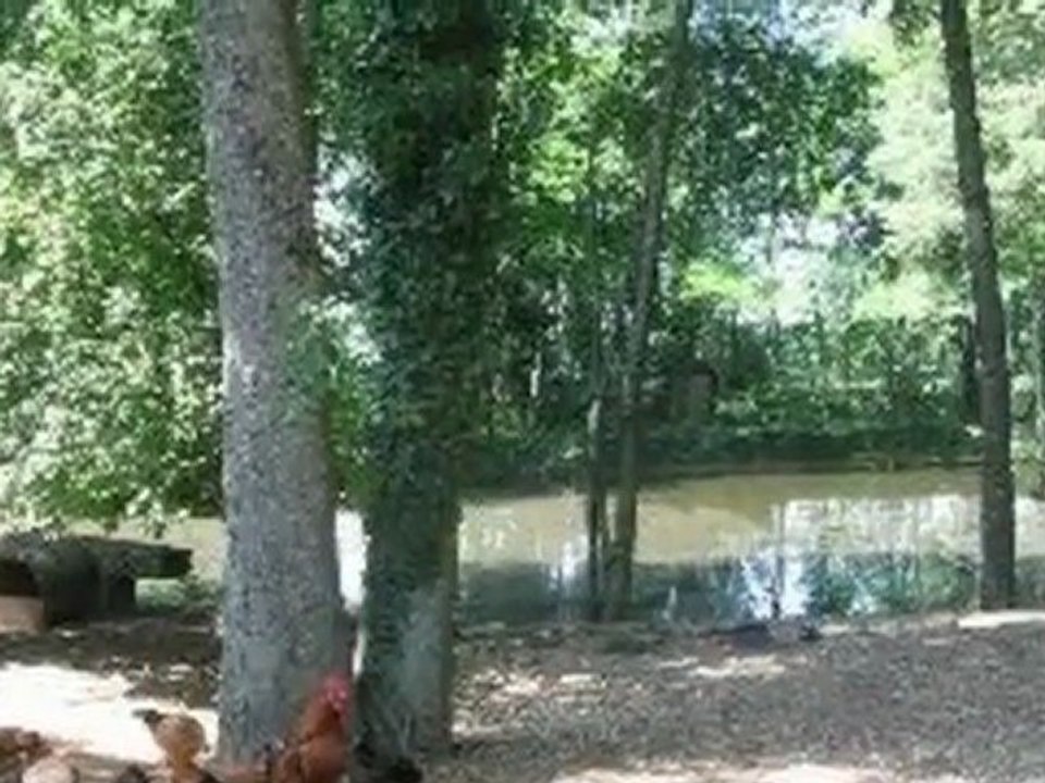 A vendre - maison - BRIEL SUR BARSE (10140) - 5 pièces - 17