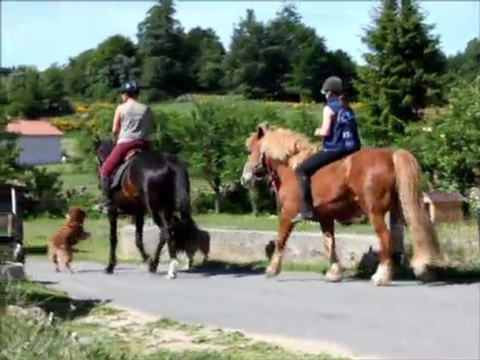 Balade chwal mai 2011