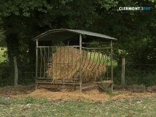 Les éleveurs face à la sécheresse (Blot-l'Église)