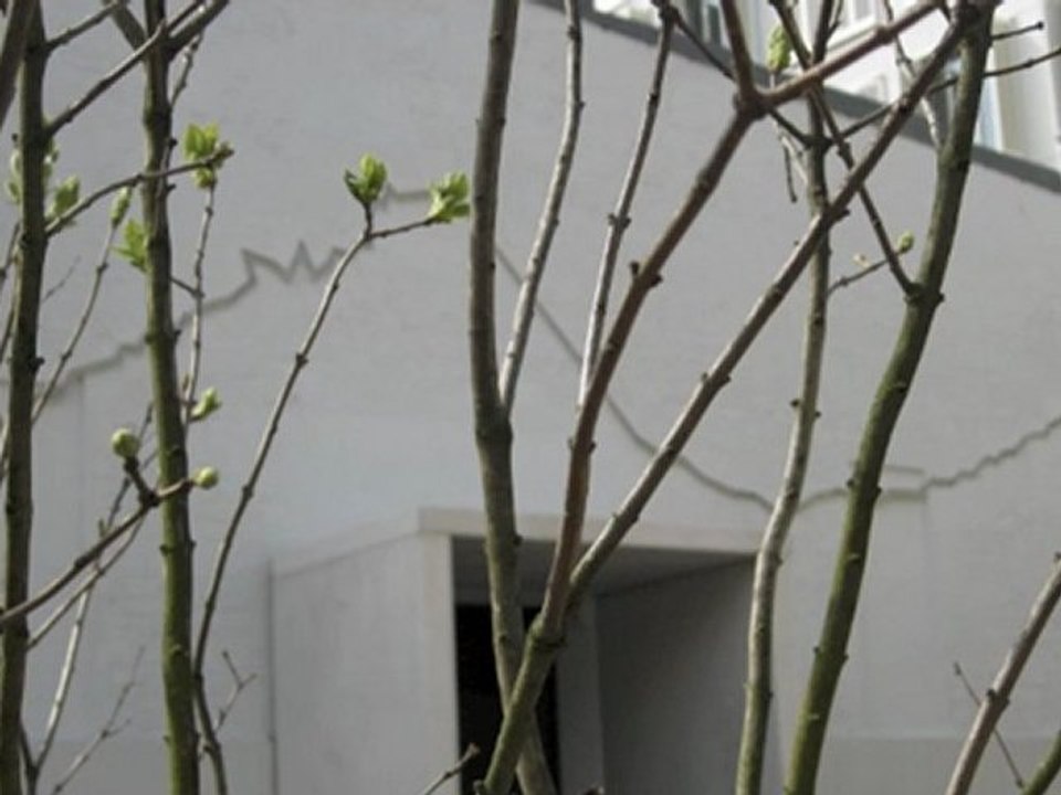 Ceinture de feu, de Angela DETANICO et Rafael LAIN