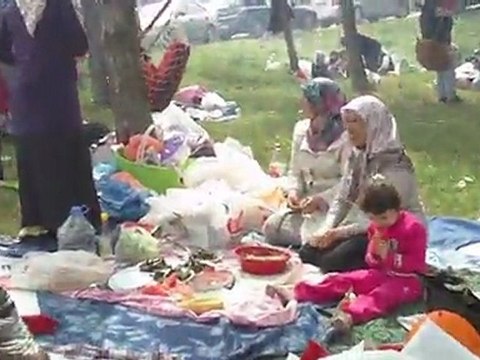 İSTANBUL PİKNİK 2011-PİKNİK -6