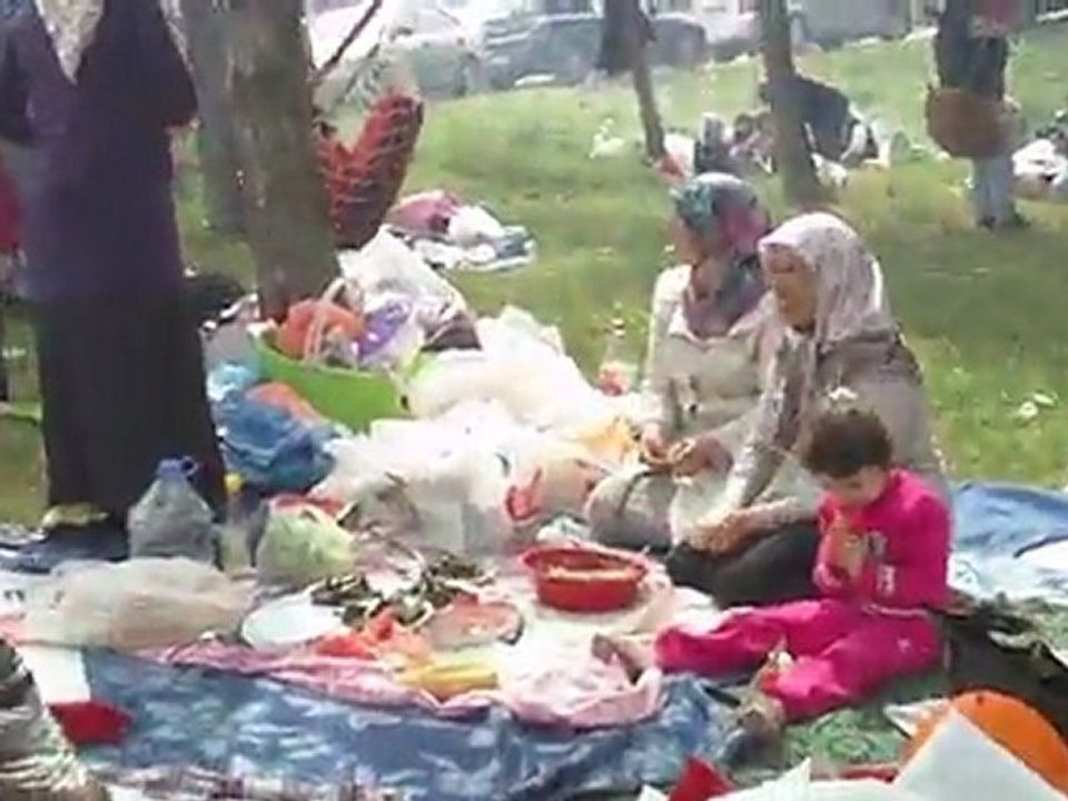 İSTANBUL PİKNİK 2011-PİKNİK -6