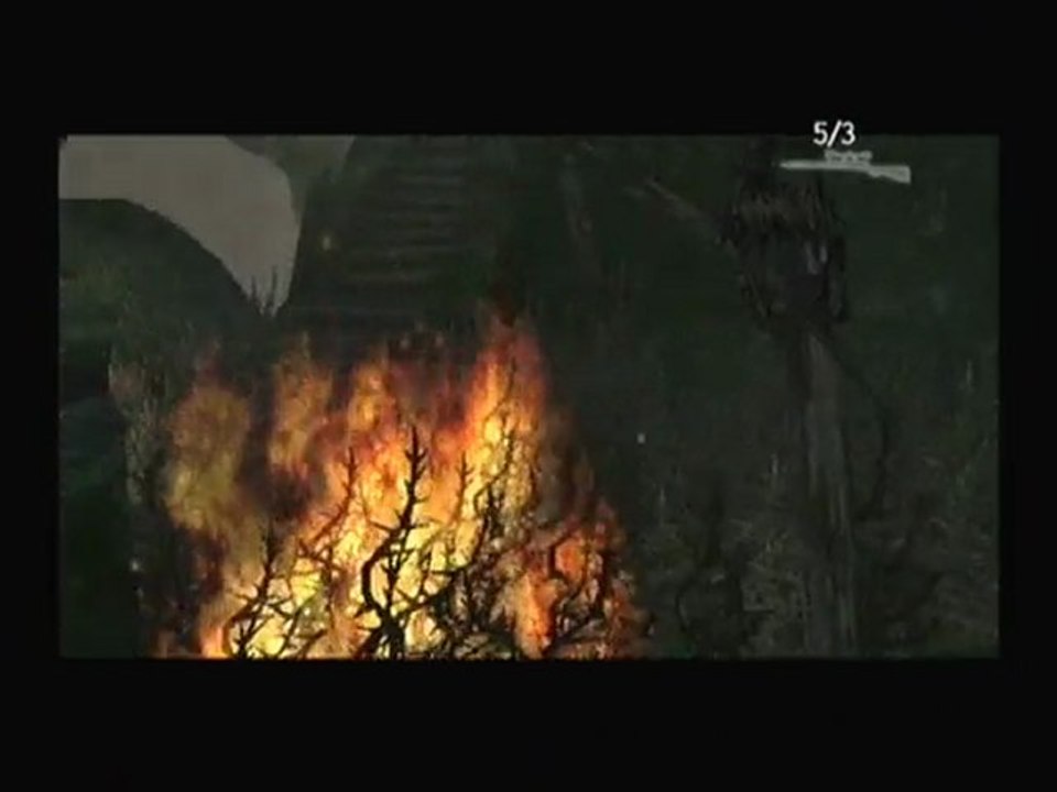 Peter Jackson's King Kong [09] : "Le canyon"