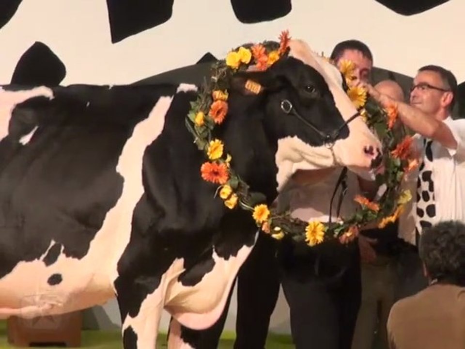 PRIM'HOLSTEIN 2011 - Le sacre de la Grande Championne