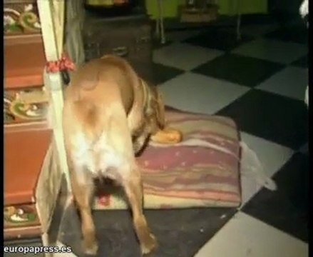 Dos incendios de madrugada, con una fallecida