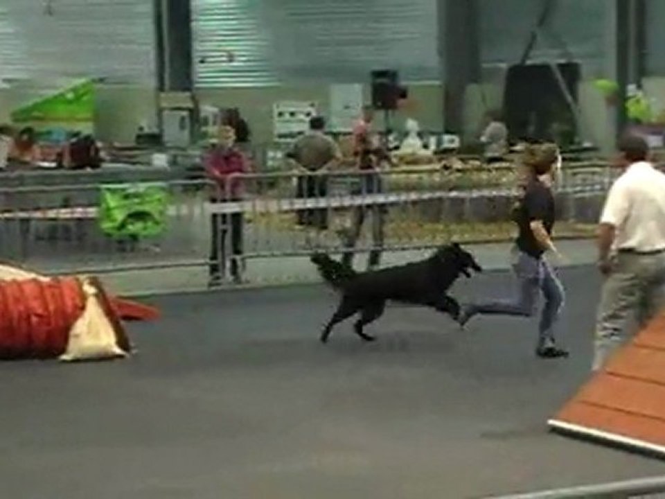 Eiko agility Open Foire Comtoise 2011