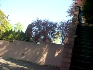 Avion Nico et Arthur 1