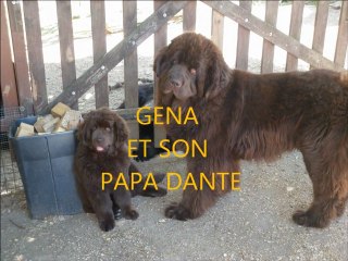 GENA ET DANTE 28-05-2011 DREUX