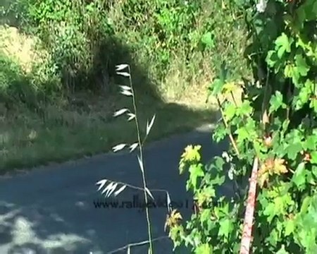 rallye de bords 2011