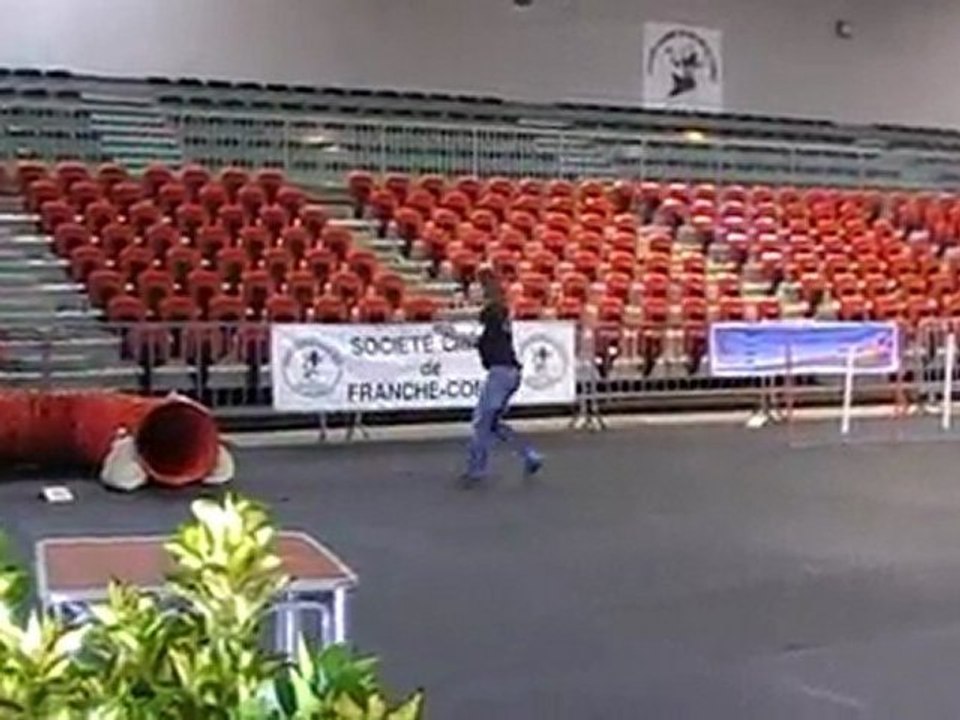 Eiko agility 1er degré foire comtoise 2011