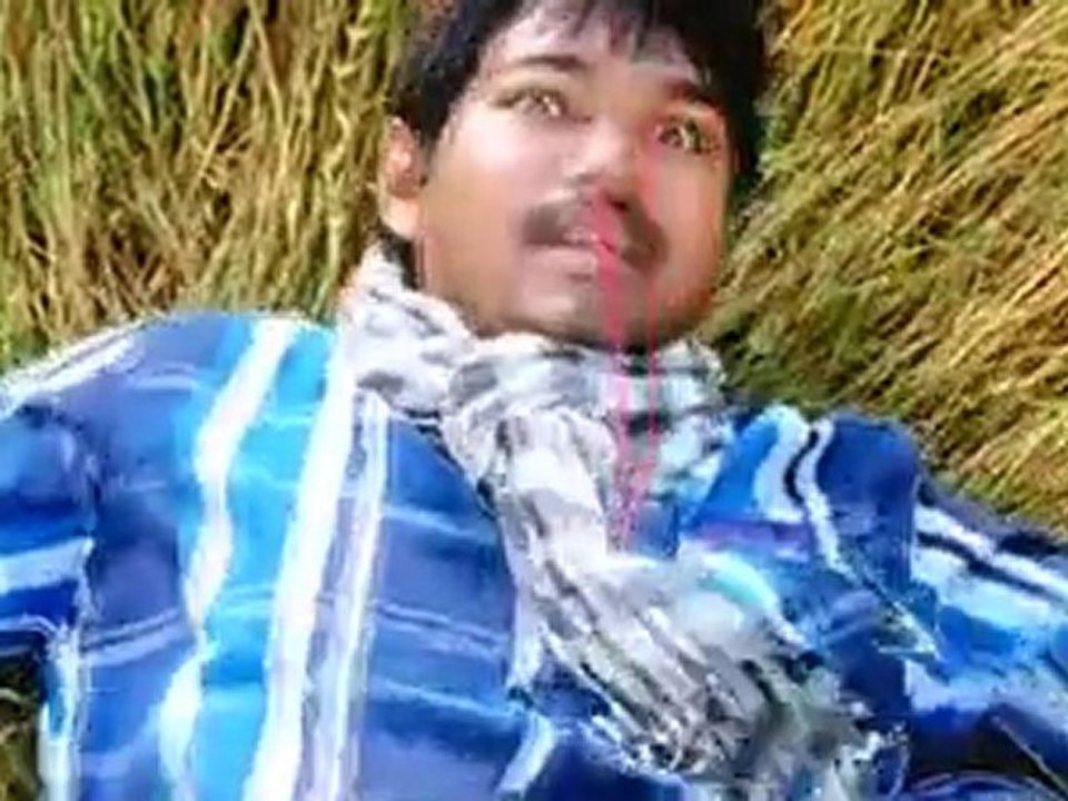 Pattamboochi