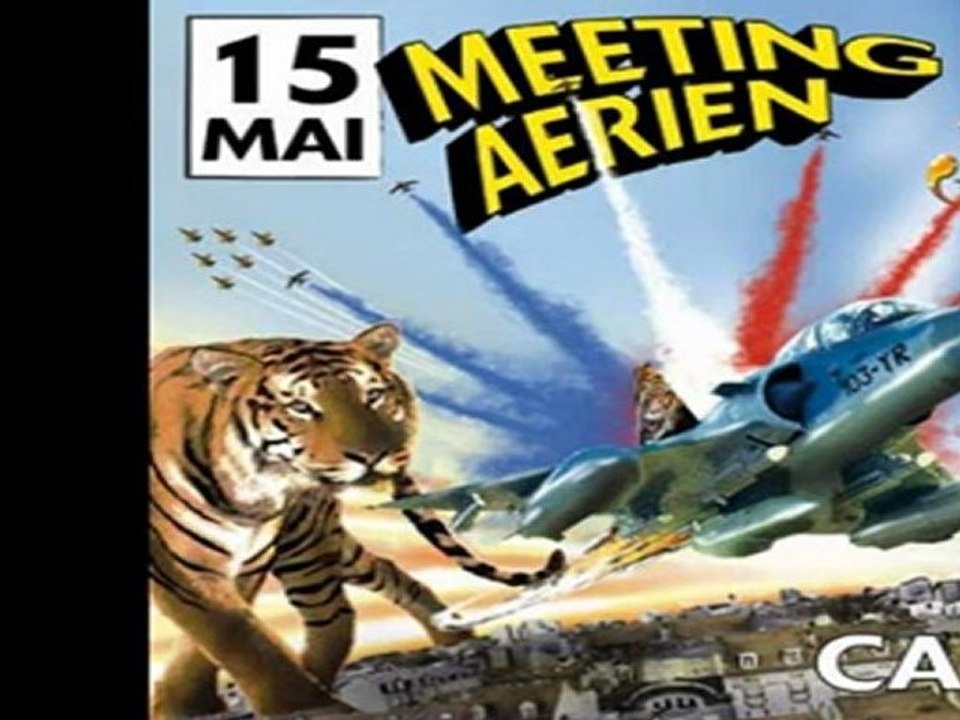 Meeting Aerien Tiger Meet 2011