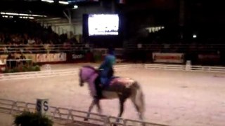 Carrousel poney Bayard UCPA - salon du cheval part3