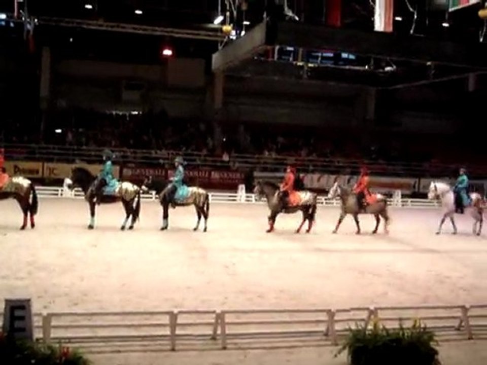 Carrousel bayard ucpa - Salon du cheval part1