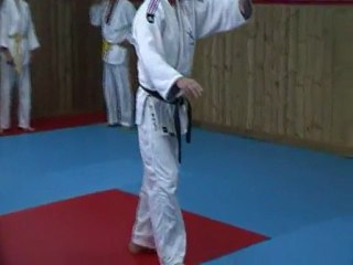 jujitsu Rollin Philippe