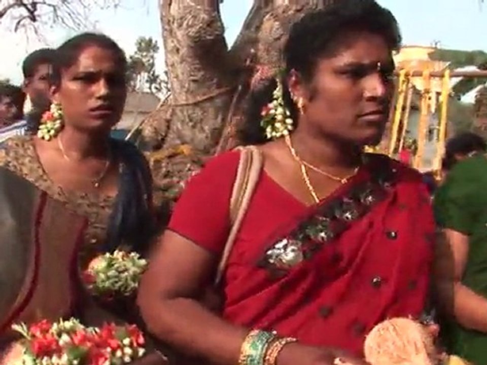 Arabic-Web-India's transgender community celebrate