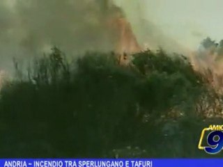 Andria | Incendio tra Sperlungano e Tafuri