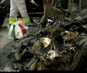 Arden treinta contenedores en Valencia