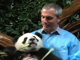 Kung Fu Panda 2 Production Designer Visits Sichuan, China