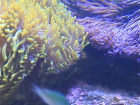 de Kiama NSW a Childers QLD