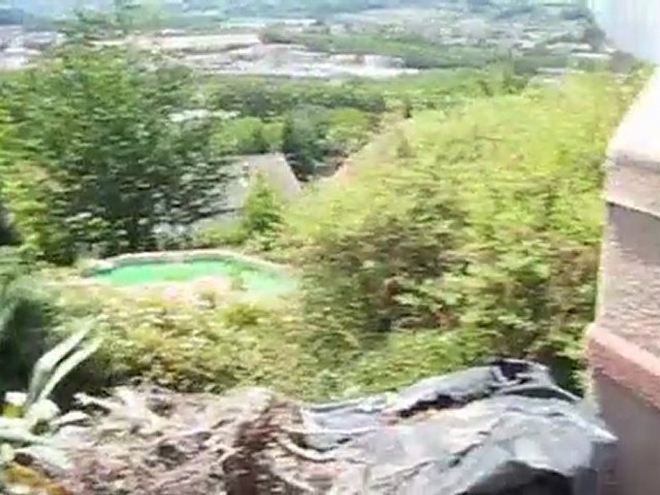 2011-05-27 Anniv Swan Noa