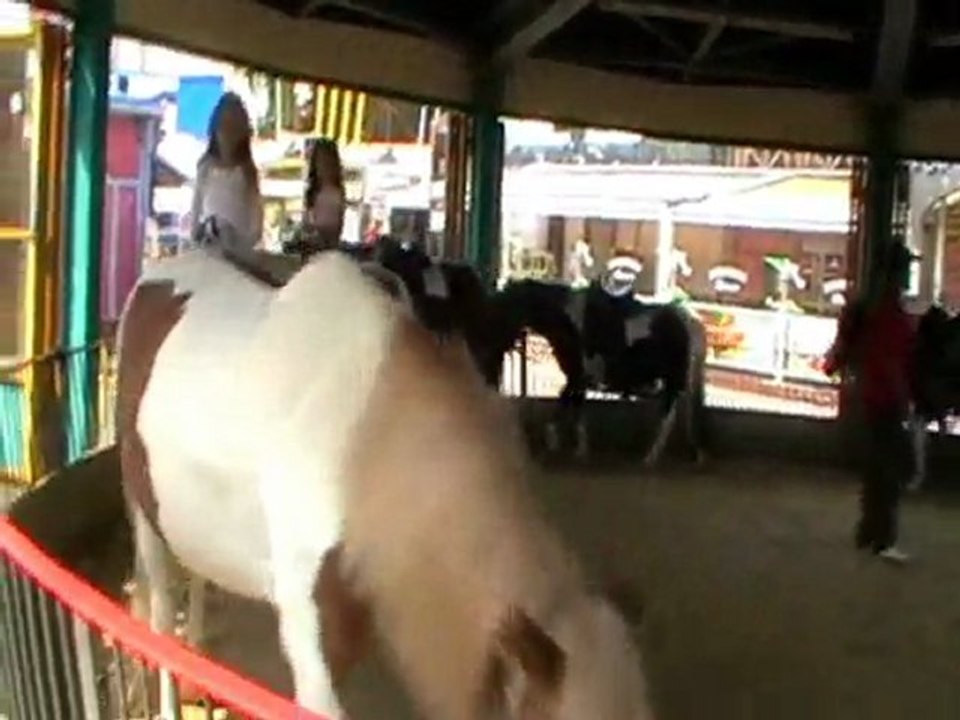 Esti in Vienna Prater Park - Horses