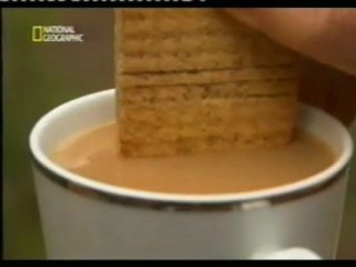 Tea time: ¿Como mojar una galleta?