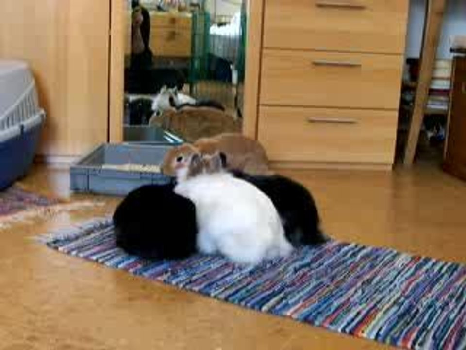 Groß-Zusammenführung