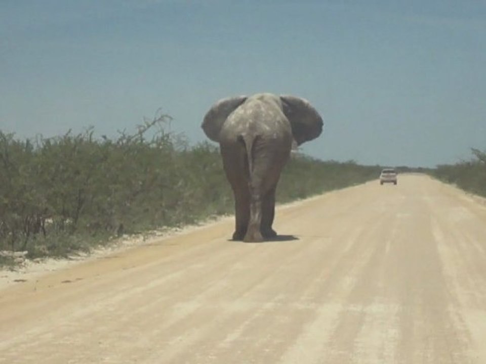 on the road Etosha