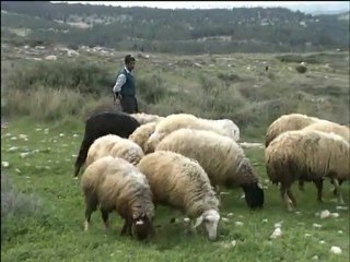 Мир Библии - 1. Палестина (ч.1)