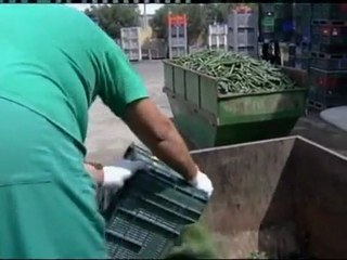 Rows over cucumber E.coli outbreak