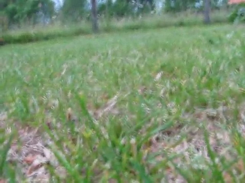 Premier essai de vidèo avec appareil photo visser sur le 600